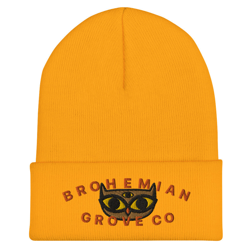 BGC Cute Owl Cuffed Beanie