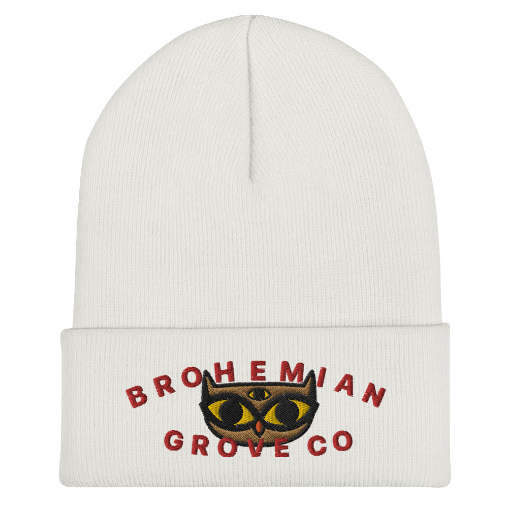 BGC Cute Owl Cuffed Beanie