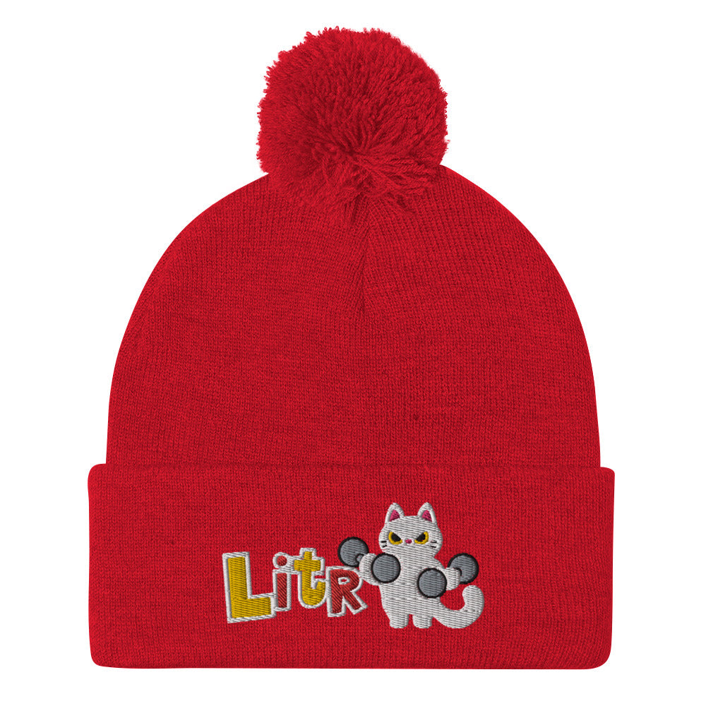 Lifting in the Ruins Catto Pom-Pom Beanie